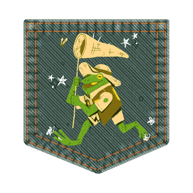Insignia 3